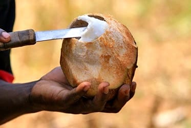 Zanzibar's Tropical Fruits, Season by Season (5)