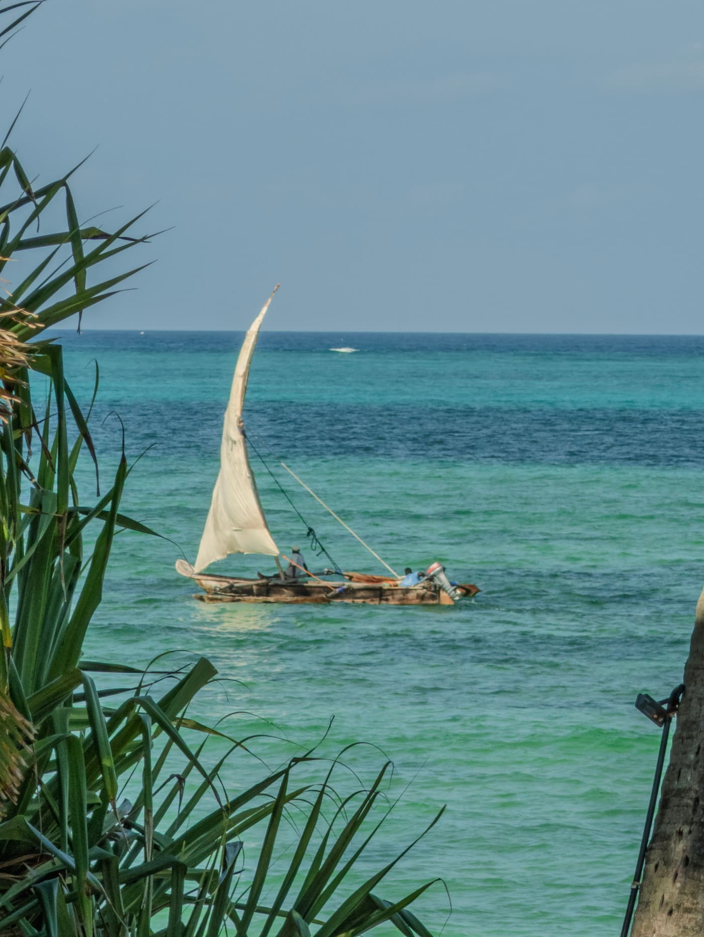 Things to Do Near Michamvi Pingwe — The Complete Guest Guide (3)