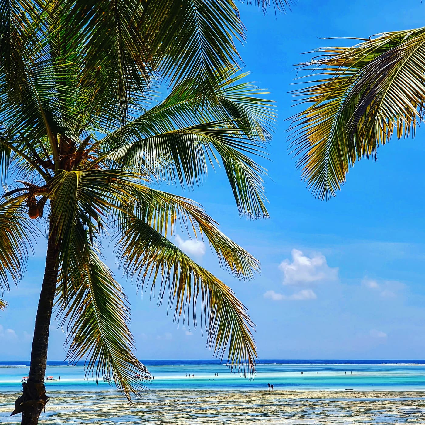 The Ultimate Guide to a Zanzibar Honeymoon: Romance on the East Coast (4)