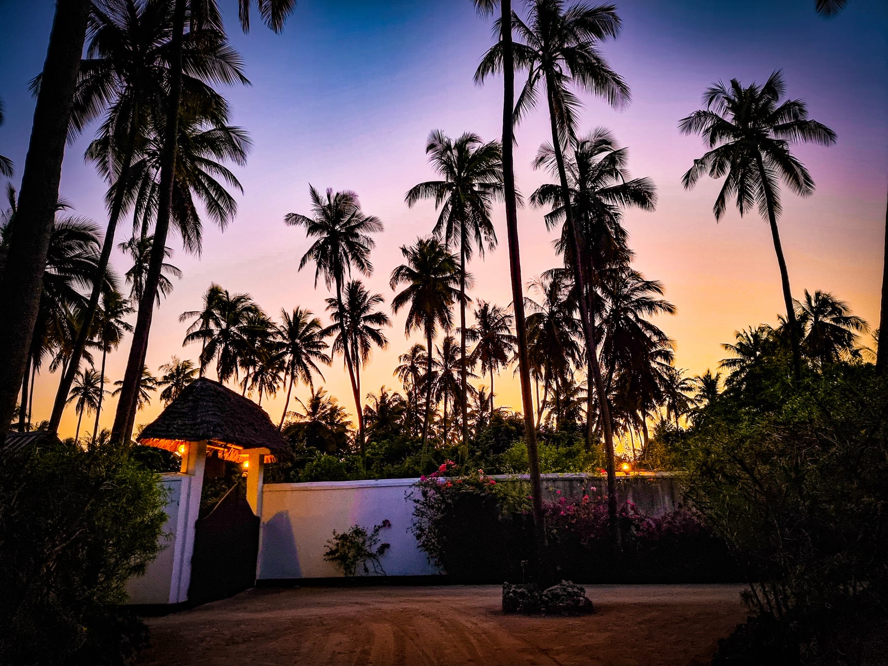 Palm trees silhouetted against a sunset sky at the Boutique Hotel Matlai entrance